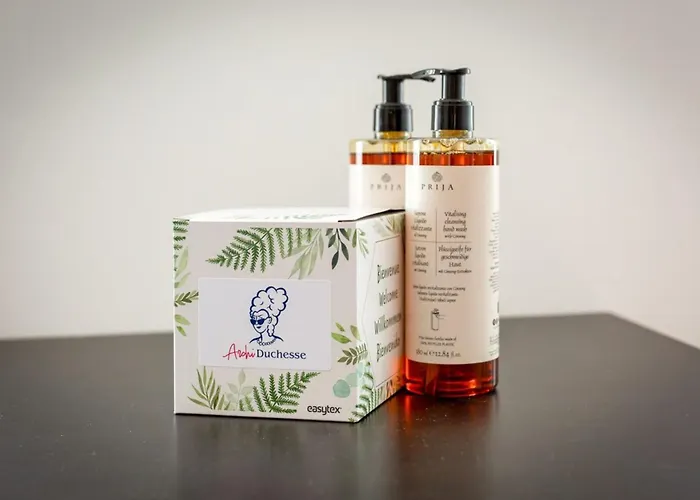 Appartement Rollin 3 Personnes Avec Netflix Au Calme ! *